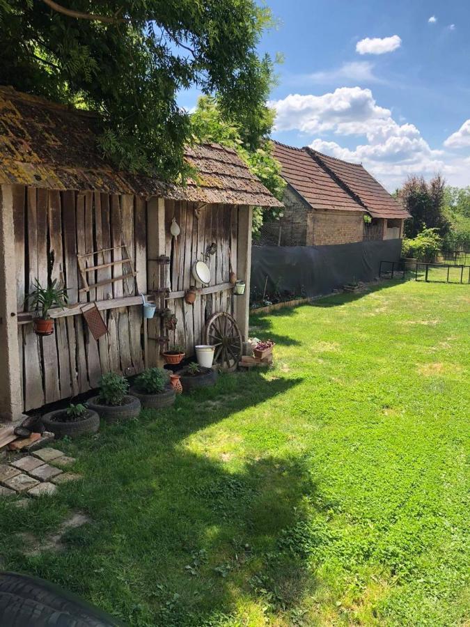 Edit Vendeghaz Balatonszentgyoergy Balatonszentgyorgy Exteriér fotografie